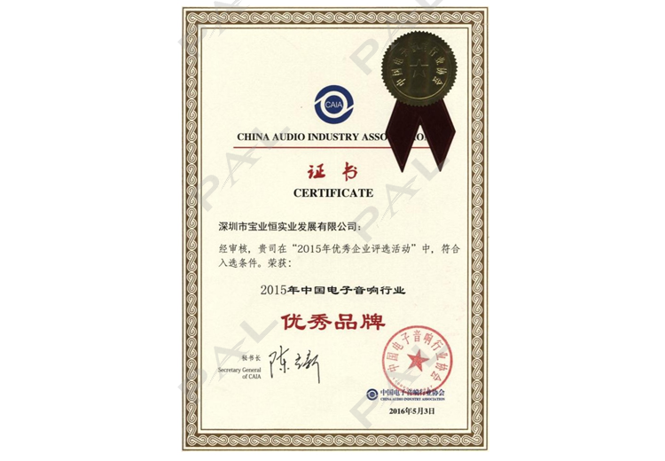2015年中国电子音响行业优秀品牌